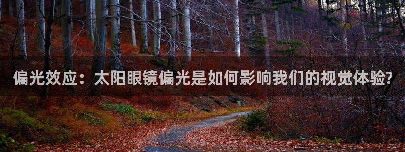新宝5测速平台登录
