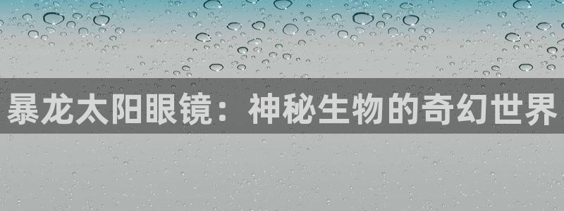 新宝5下载软件
