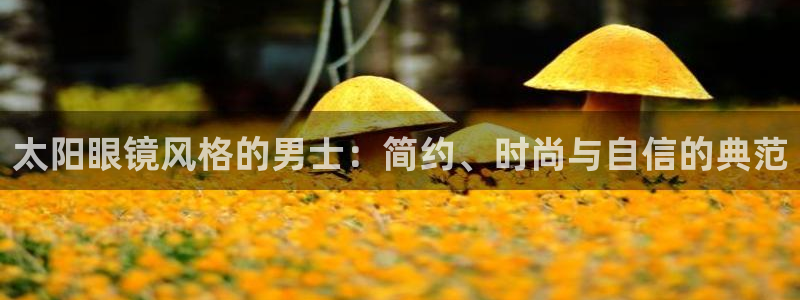 新宝5登录不了