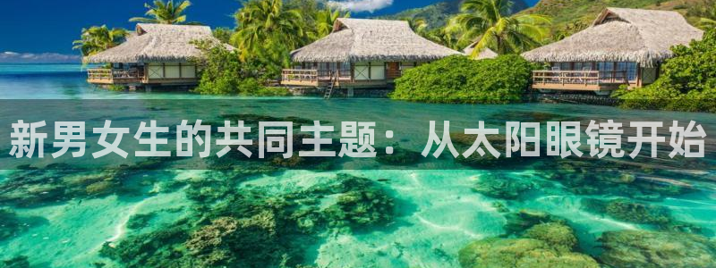 新宝5app手机下载