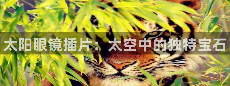 新宝m2O5O5O