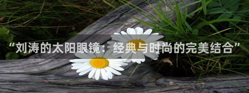 新宝5娱乐如