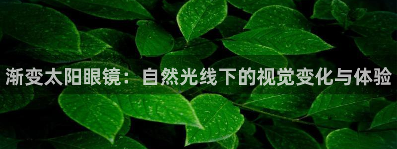 新宝5官网67五壹叁八