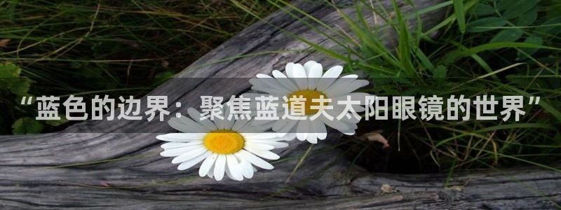 新宝5网