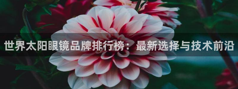 新宝5平台咋样