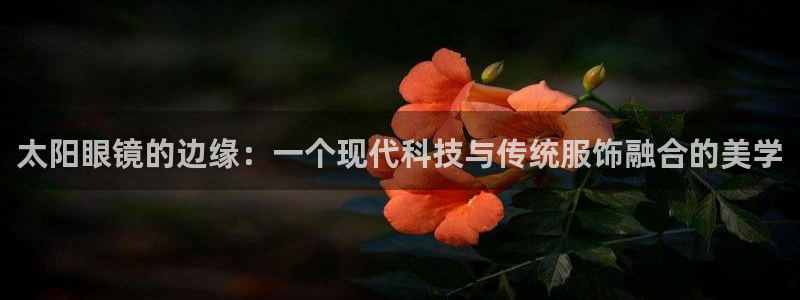 菲律宾新宝5老板