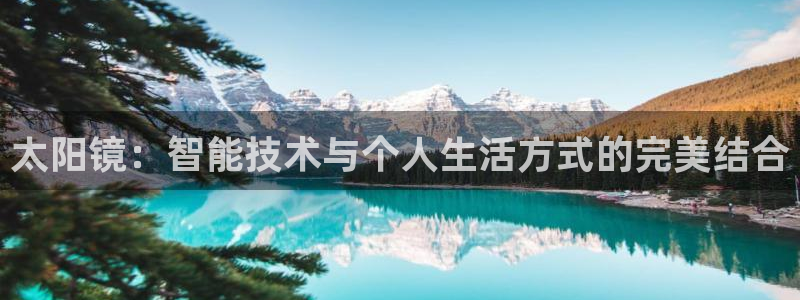 新宝堂新会陈皮5年