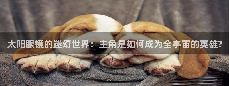新宝5是什么样子的