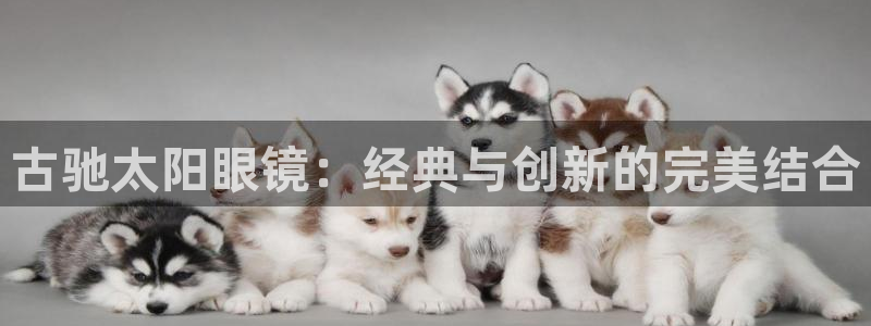 新宝5官网