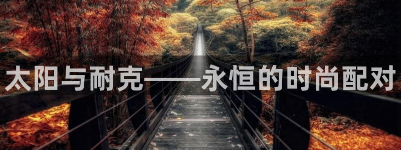 新宝5户端