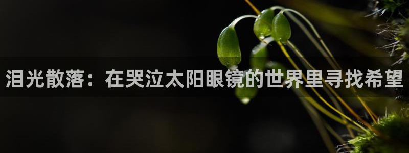 新宝5娱乐招商