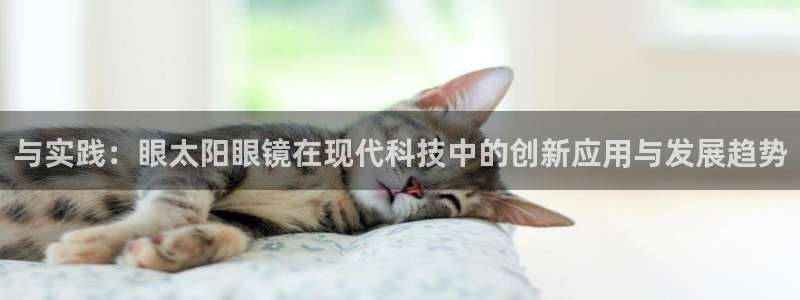 新宝5下载 迅雷下载