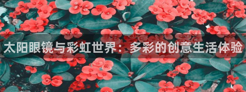 新宝5手机版