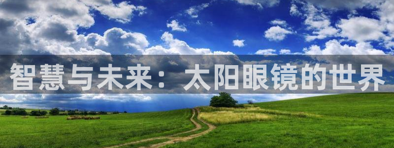 新宝5 代理