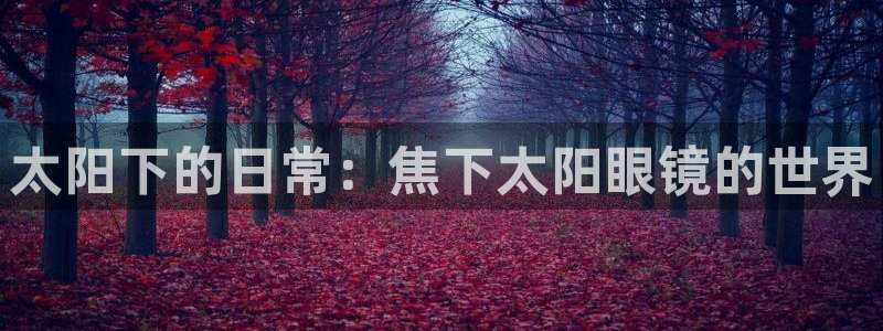 新宝5公司