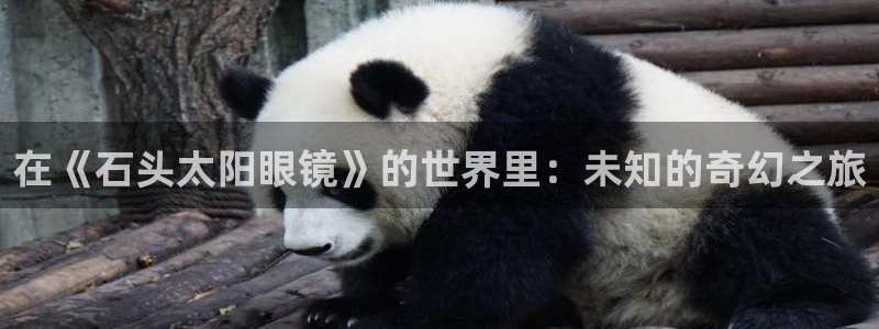 新宝娱乐5入口