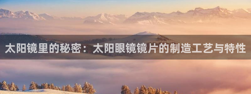 新宝5是什么样子的