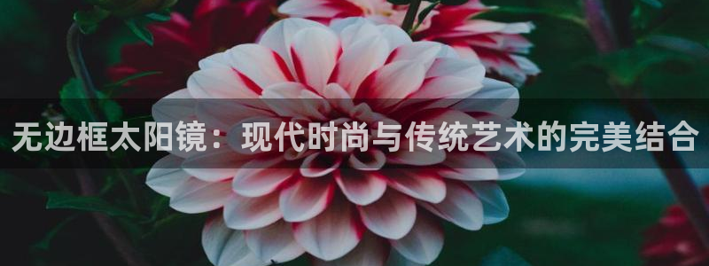 新宝5招商222111