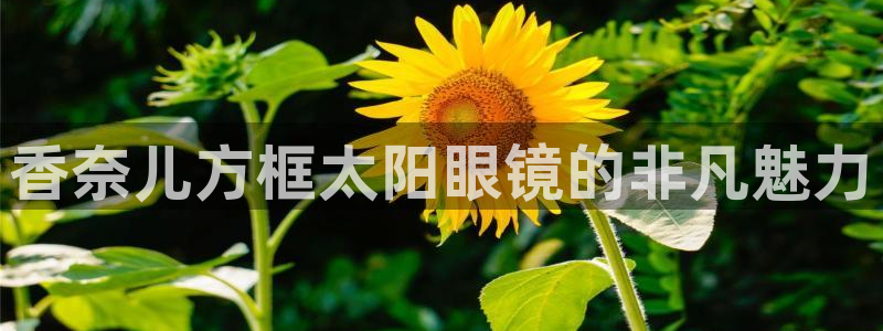 新宝5苹果手机下载