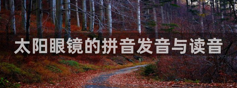 有人知道新宝5么