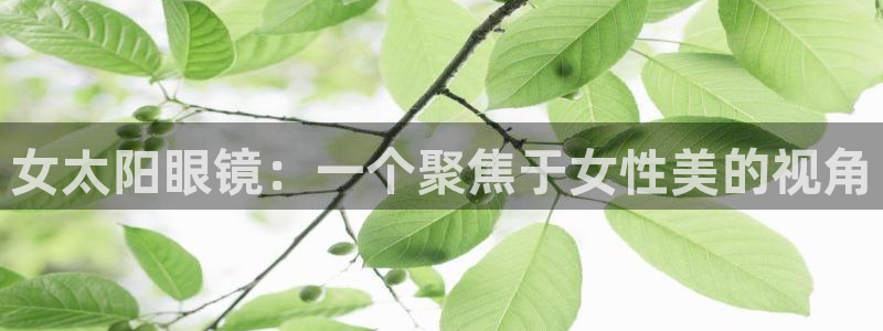 新宝5官方网站