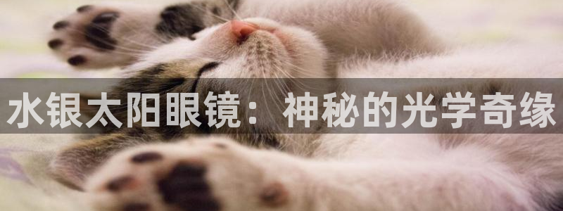 新宝5彩票是正规平台吗