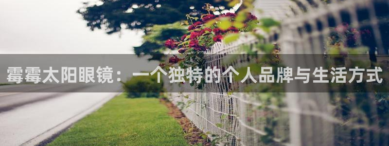 新宝5手机版