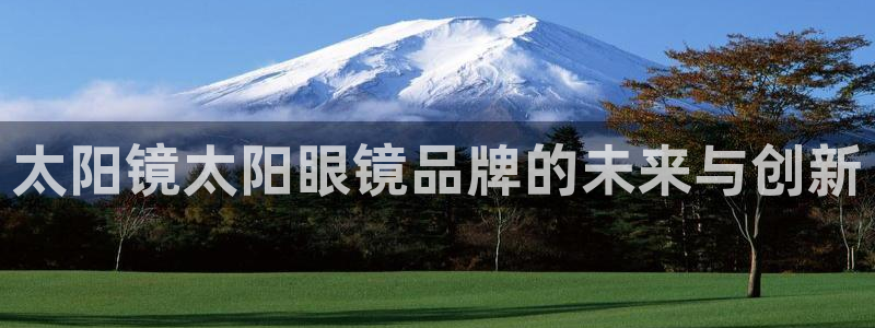 新宝股东王听2 5 5