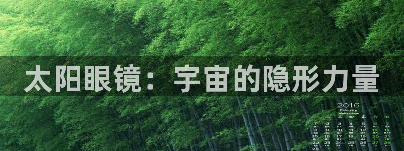 新宝娱乐5