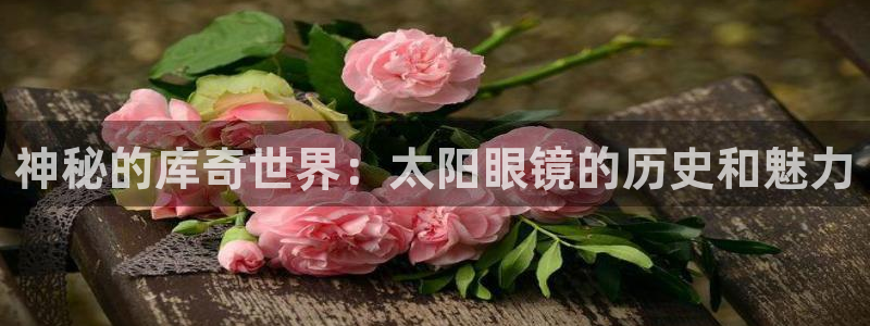 新宝5 代理
