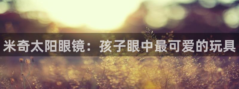 新宝5是什么样子的