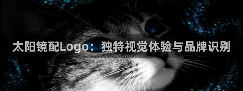 新宝5官方登录入口